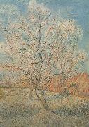 Vincent Van Gogh Peach Tree in Blossom (nn040 Spain oil painting reproduction